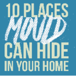 10 Places Mould Can Hide In Your Home