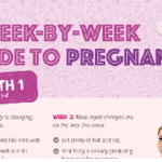 Pregnancy- A Week by Week Journey