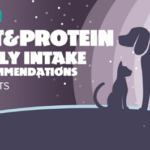 Feeding recommendation for pets