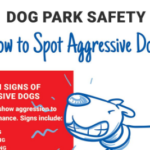 Dog Park Safety: How to Spot Aggressive Dogs