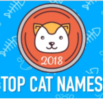 Top Cat Names of 2018 Infographic