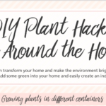 DIY Plant Hacks for Around the Home