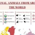 National Animals from Around the World