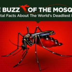 The Buzz of the Mosquito