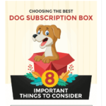 The 11 Best Dog Subscription Boxes for 2020