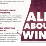 All About Wine: Facts, Figures, and Health Benefits