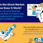 What Is the Stock Market and How Does It Work?