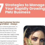 7 Strategies to Manage Your Rapidly Growing PMU Business