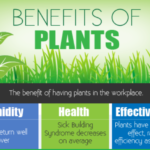 The Health and Work Benefits of Plants [Infographic]