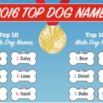 Top Dog Names of 2016