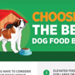 Choosing the Best Dog Food Bowl