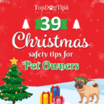 39 Christmas Safety Tips for Pet Owners