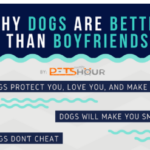 Top 10 Reasons Why Dogs Are Better Than Boyfriends