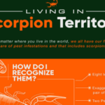 Living in Scorpion Territory