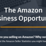 The Amazon Business Opportunity