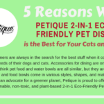Why 2-in-1 Pet dish are safer for your Pets