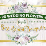20 Wedding Flowers for the Best Bridal Bouquets