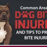 Common Areas for Dog Bites Injuries and Tips to Prevent a Bite
