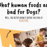 What human foods are bad for Dogs?