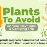 4 Plants to Avoid on Your Next Hike and Camping Trip