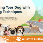 Training Your Dog with Luring Techniques