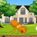 Facts about Termites