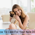 How to care for your New Dog