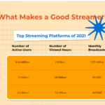 What Makes a Good Streamer