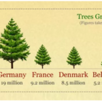 Christmas Tree Facts And Statistics InfoGraphic